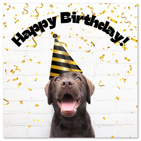 Birthday Card For Dog Printable